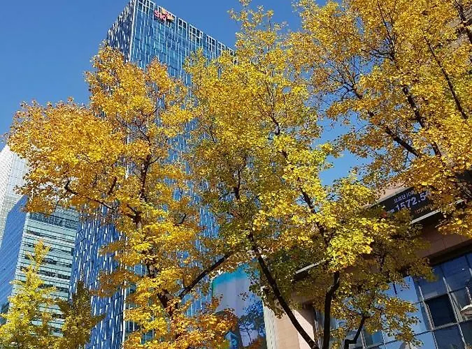 24 Myeongdong 2*